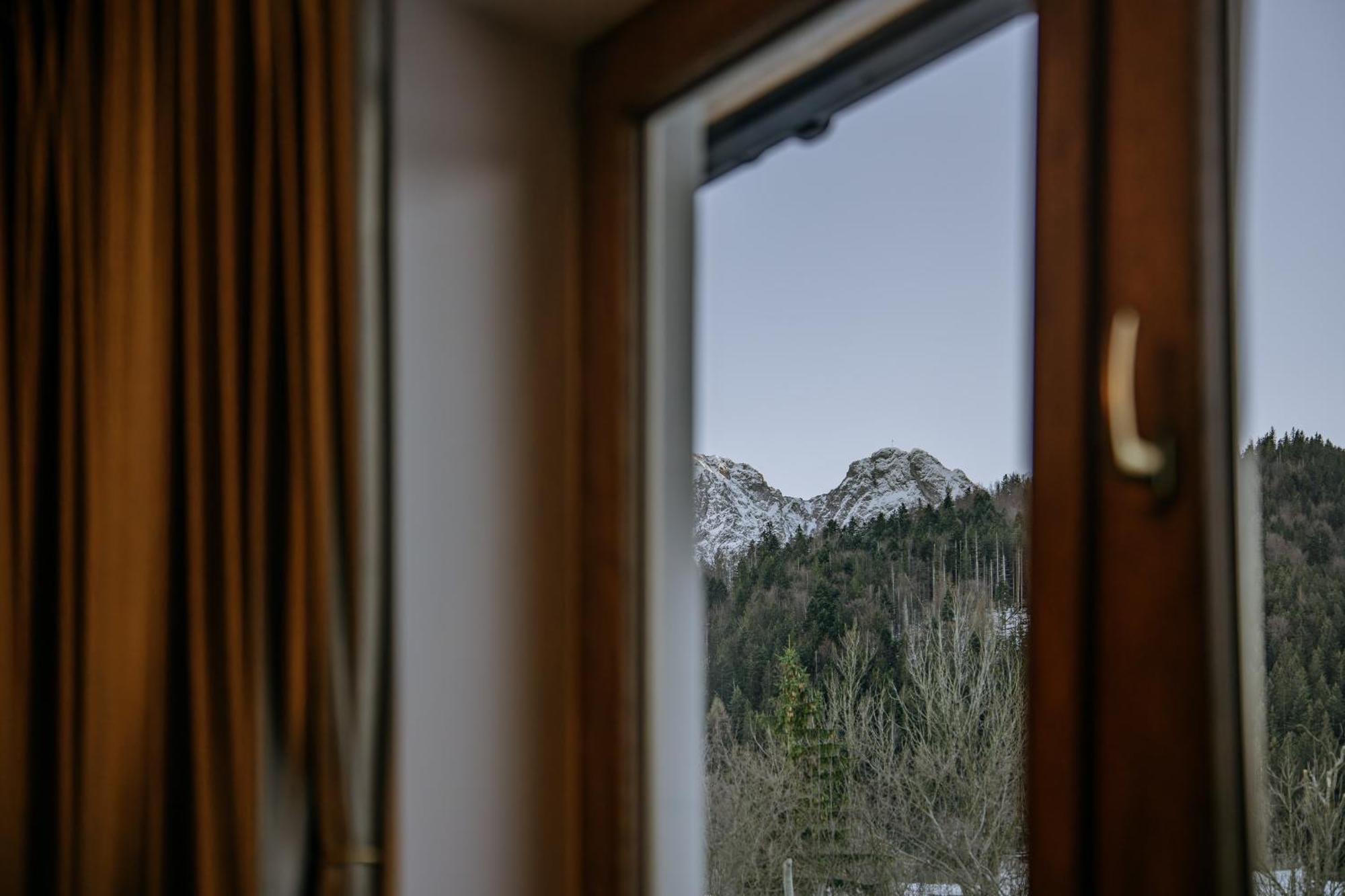 Willa Zielone Wzgorze - Luksusowe Apartamenty - Zakopane Luaran gambar